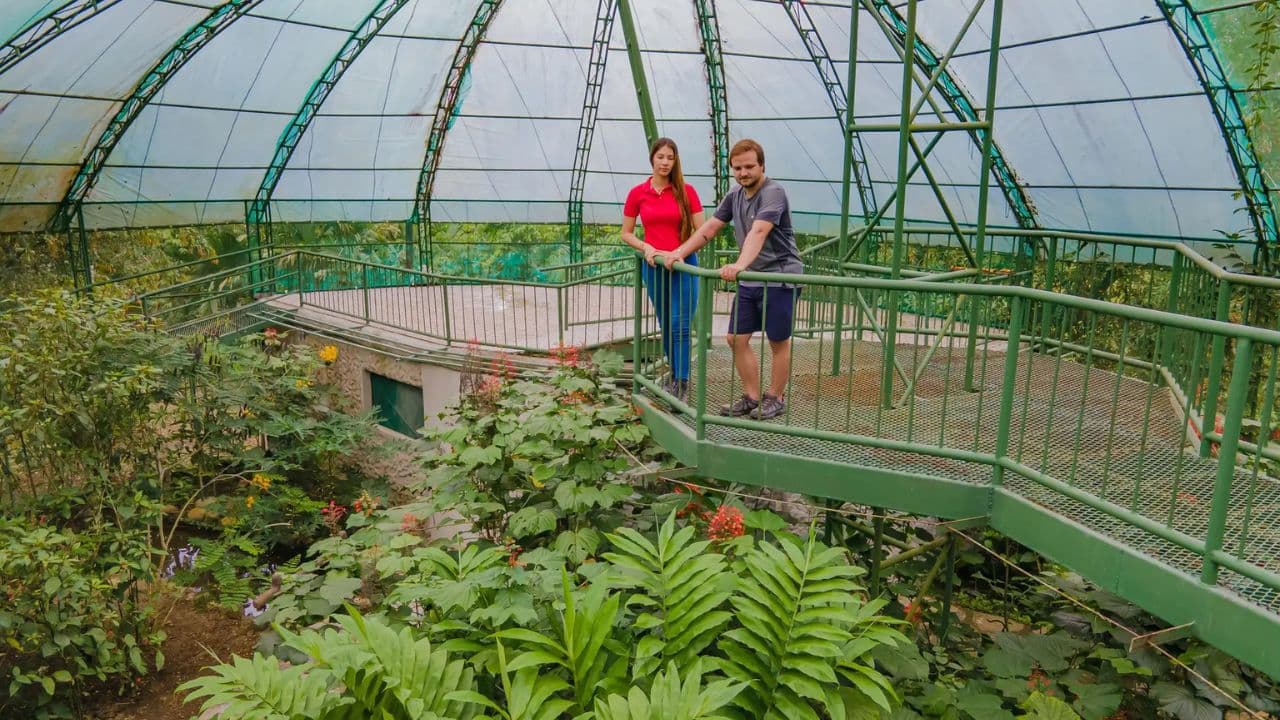 Jungle Eco Tour
