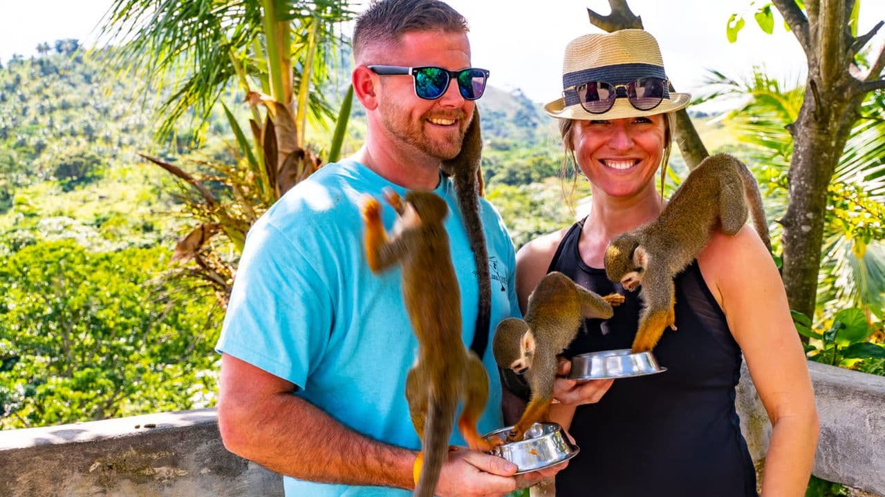 Puerto Plata: Monkeyland and Zip-Line Adventure - Photo 3 (Gallery view)