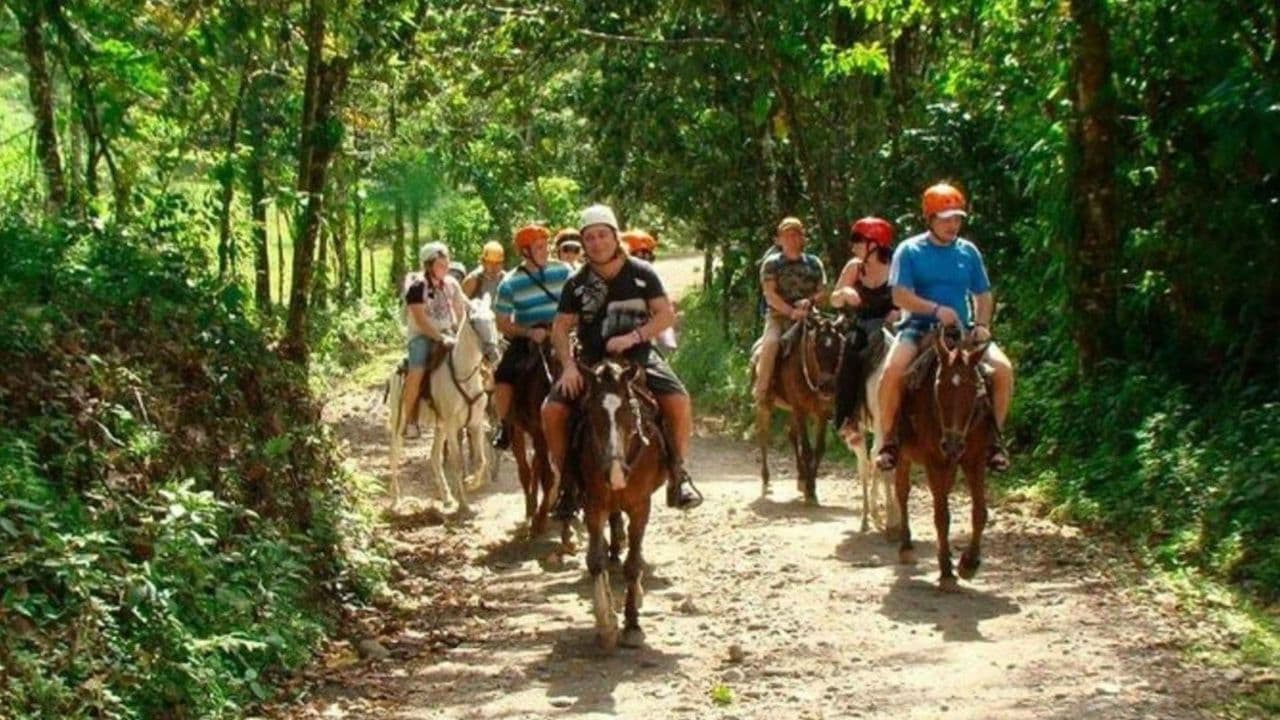 Punta Cana: Cayo Levantado & Bacardi Island Trip with Lunch