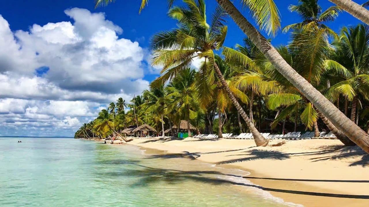 Santo Domingo: Saona Island Catamaran Tour with Lunch & Bar