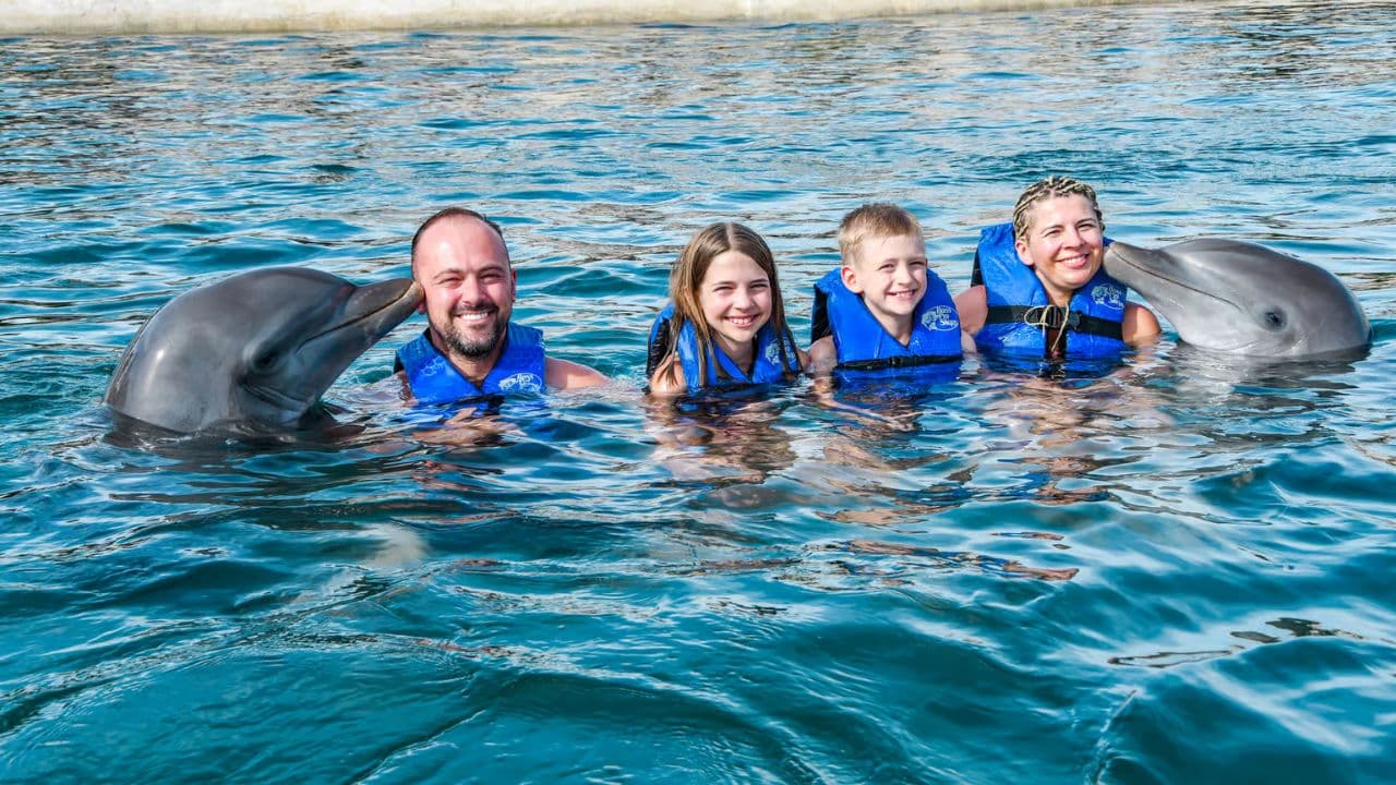 Saona Island: Catamaran Tour to Saona Island All Inclusive