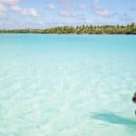 saona premium mano Juan canto de la playa sightseeing tour - Photo 3 (Gallery view)