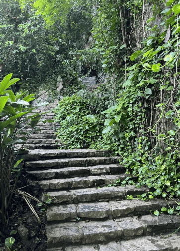 Viñales Caves Vintage Car Tour