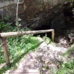 Bayahibe: National Park Jungle Walk & Snorkeling in Cenotes