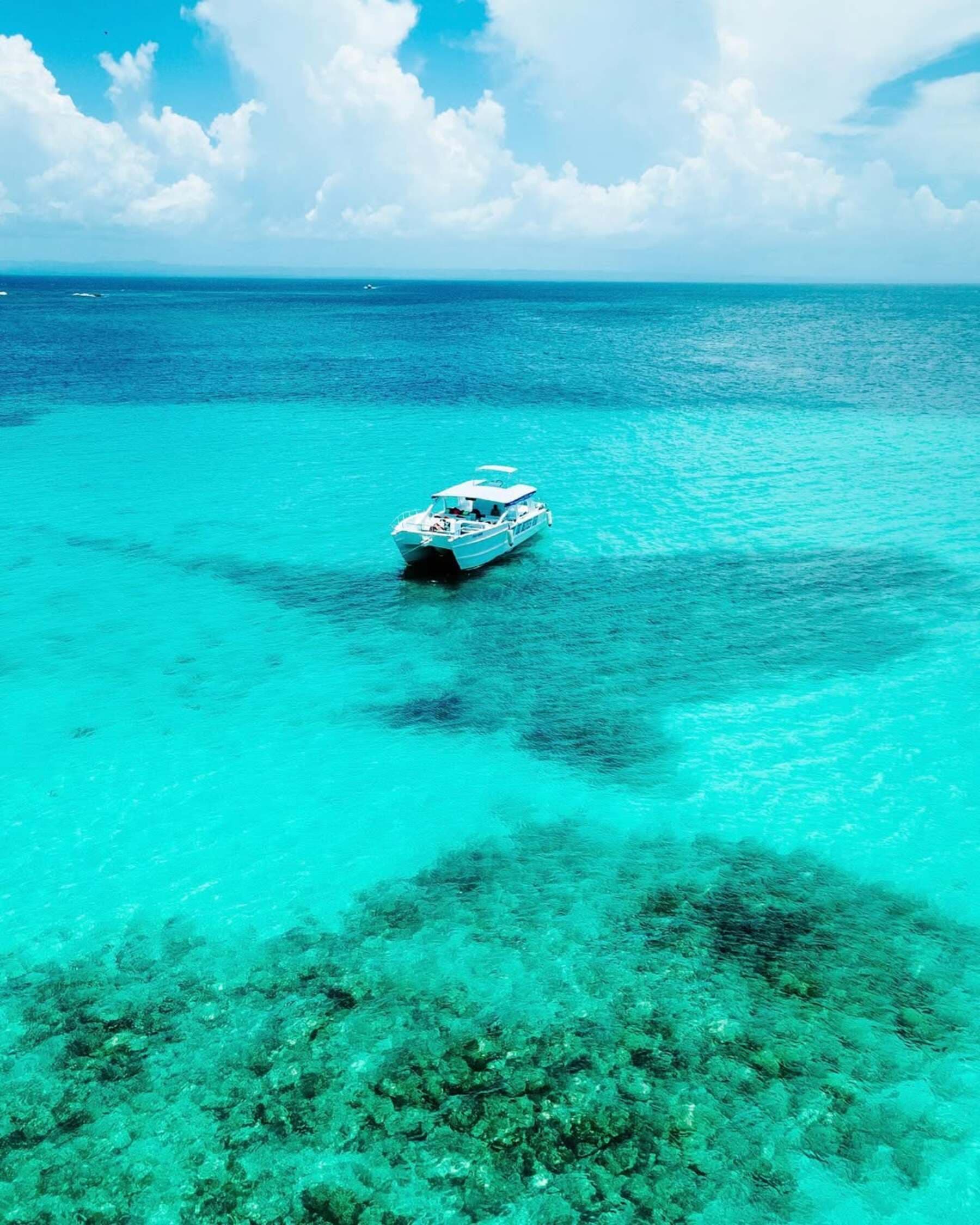 Best Los Haitises & Cayo Levantado Excursion from Samaná - Dominican Republic