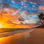 Punta Cana: Sunset Horseback Ride in Macao Beach and Forest