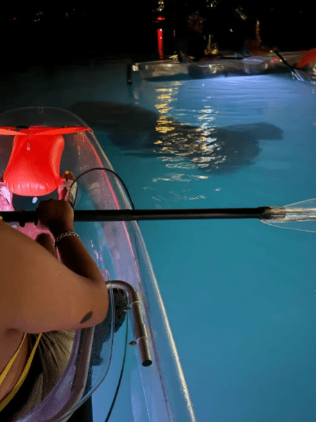 San Juan: Clear Kayak Guided Experience with LED Lights - Photo 2 (Gallery view)