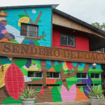 Cocoa Trail & Making of Chocolate Tour from Santo Domingo