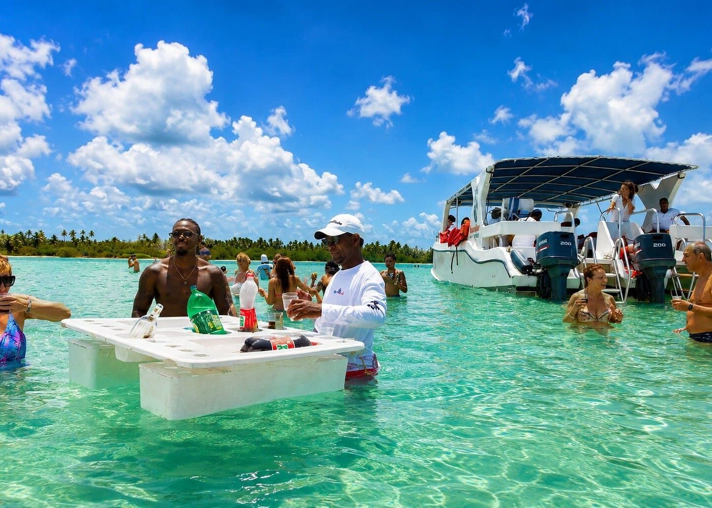 Saona Island Snorkeling: Tours & Beginner Tips