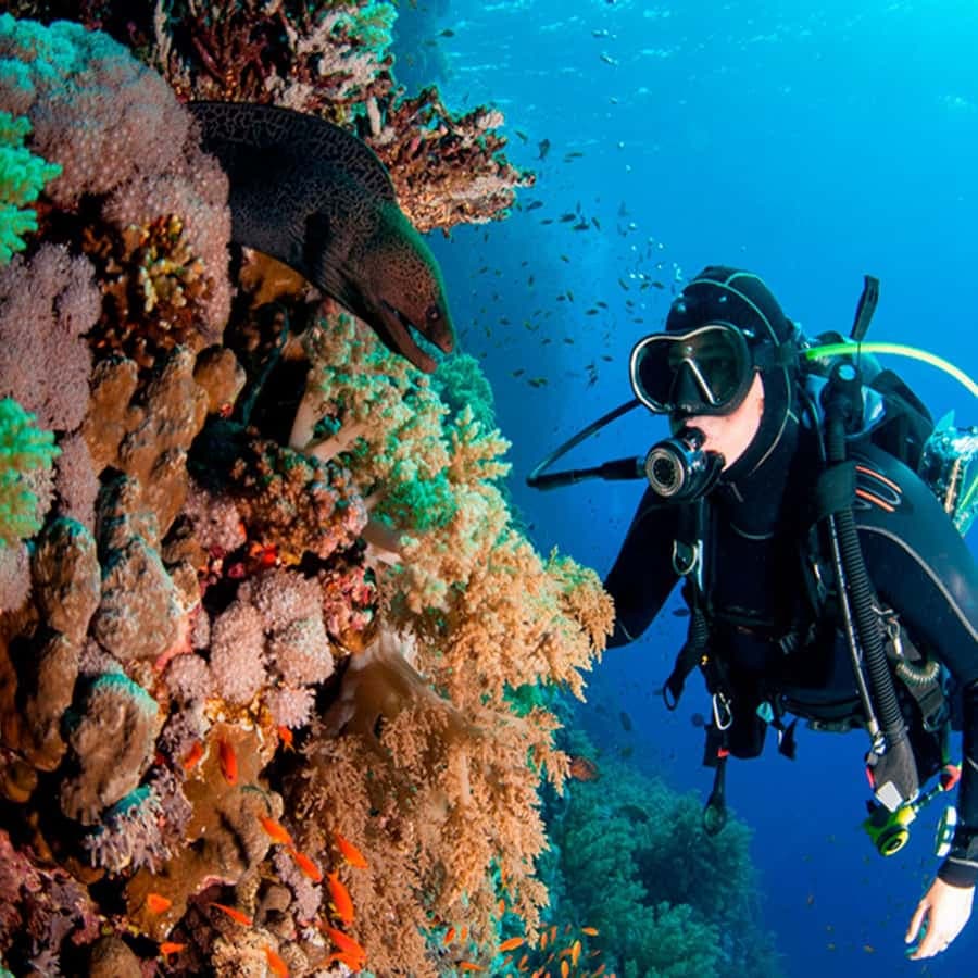 Bayahibe: Catalina Island Scuba Diving Tour with Lunch