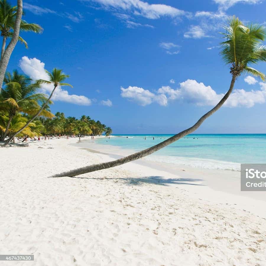 Punta Cana: Saona Island Cruise with Lunch & Open Bar