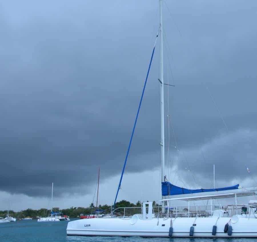 Saona Island from Punta Cana: Exclusive Beach Day Excursion