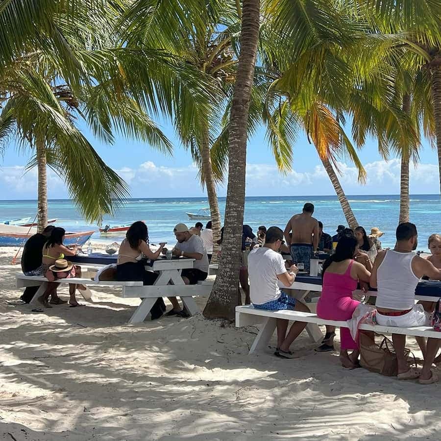 Punta Cana: Saona Island Premium 3 beaches