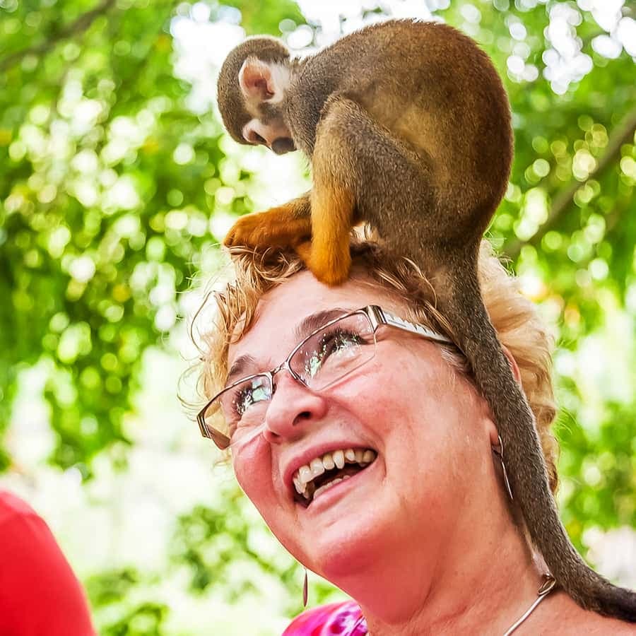 Punta Cana: Monkey Land Half-Day Safari and Plantation