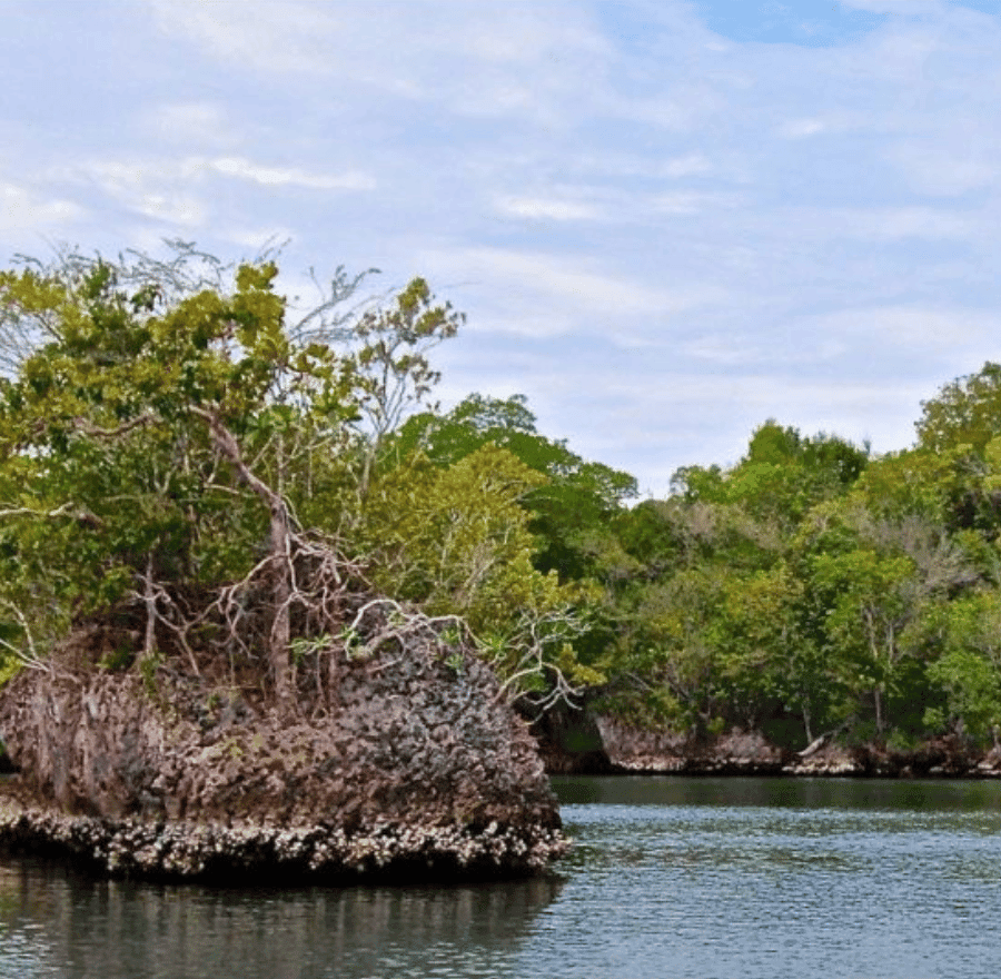 Punta Cana: Los Haitises & Caño Hondo natural pools Tour