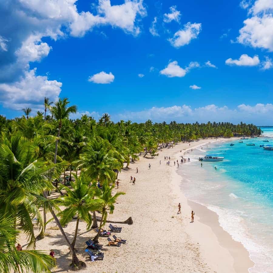 Punta Cana: Saona Island Day Tour and Catamaran Party