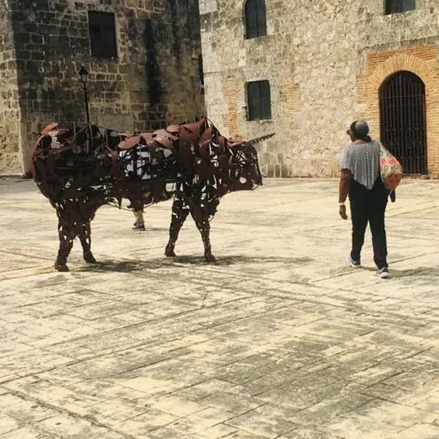 Bayahibe: Santo Domingo Full-Day Tour with Lunch