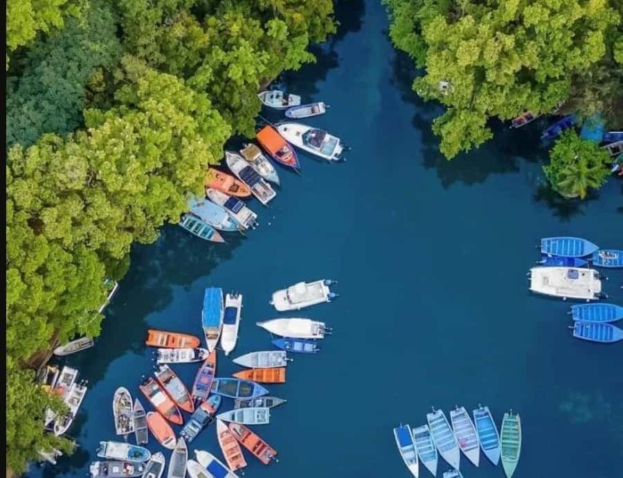 Mangove boat tour - Rio San Juan Guided 4-6 hour tour