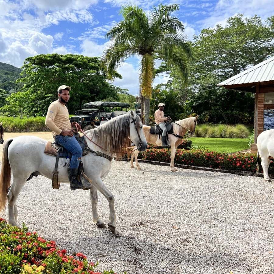 Buggy and Zipline Adventure at La Hacienda