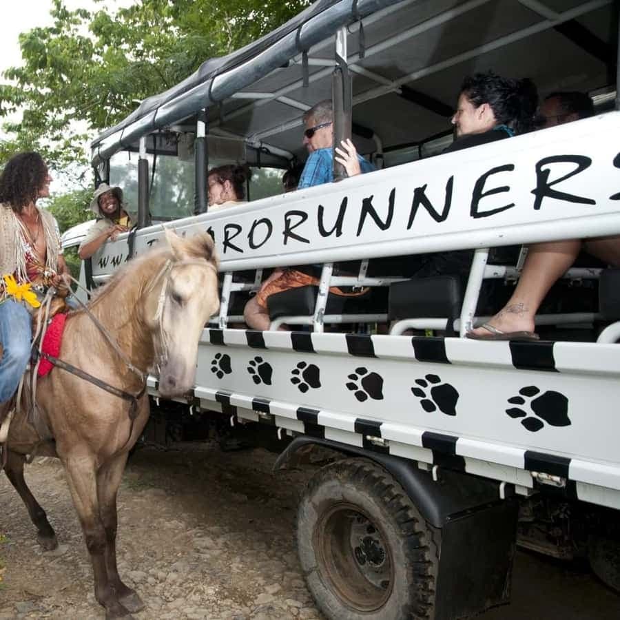 Monkeyland Punta Cana Natural Jungle and Guided Safari Tour