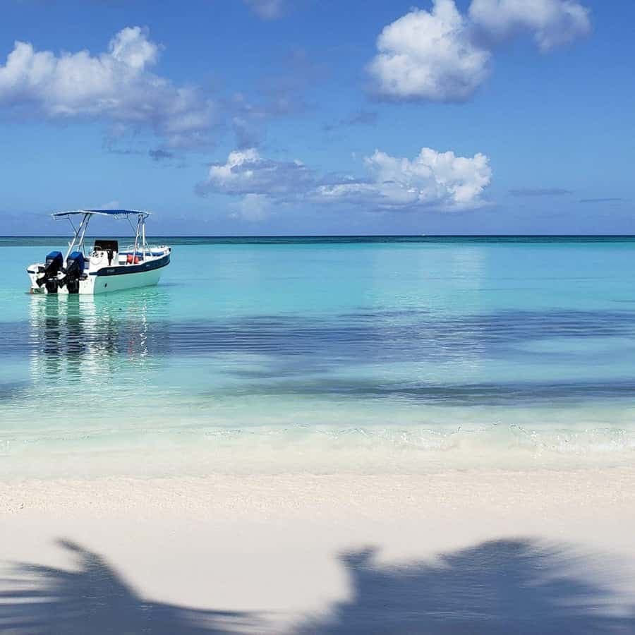 Saona Island Tour From Santo Domingo with Lunch and Pickup