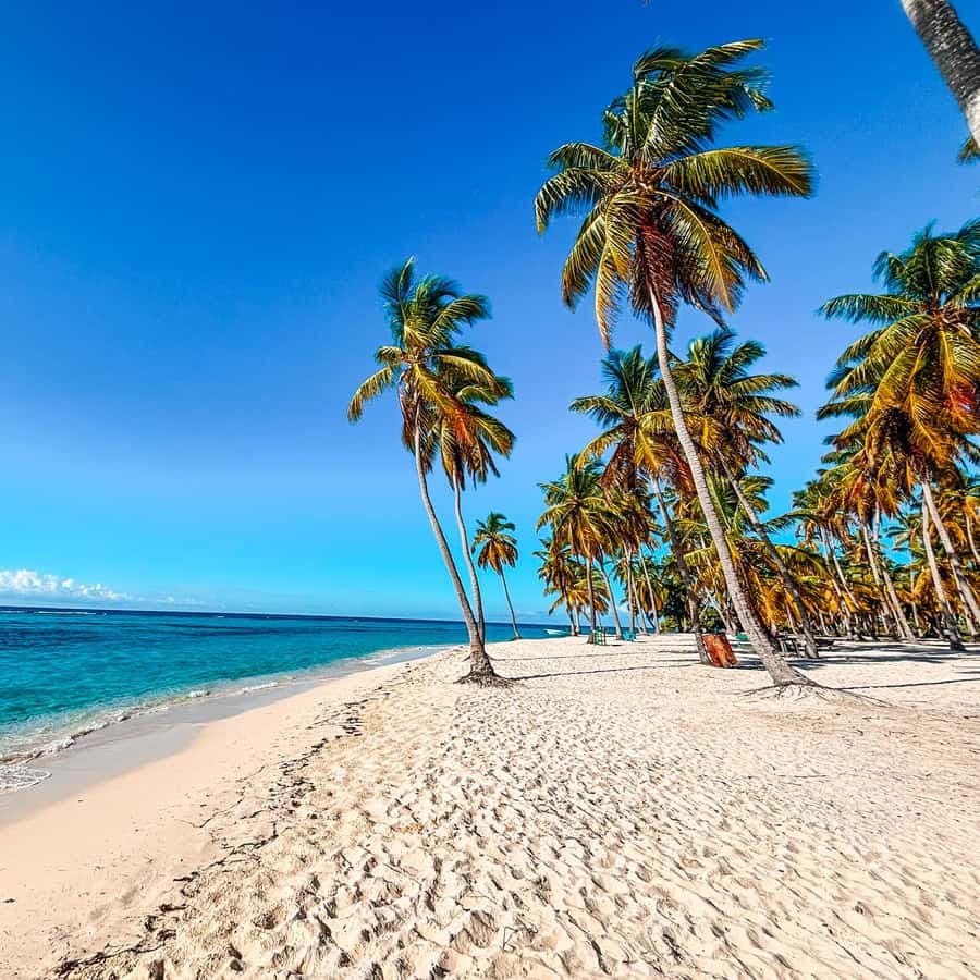 La Romana: Saona Crusoe VIP for cruise guests