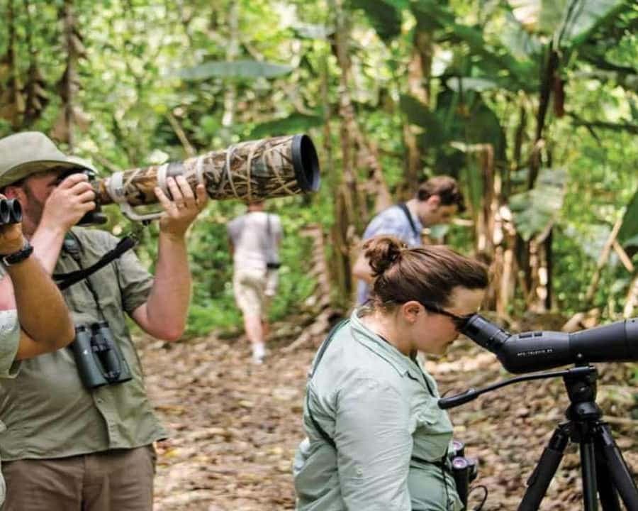 Bayahibe: Birdwatching Tour with Guide - Dominican Republic