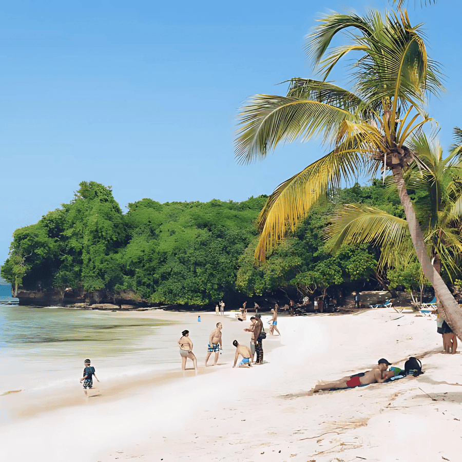 Punta Cana: Whale Watching and Bacardi Island Day Trip