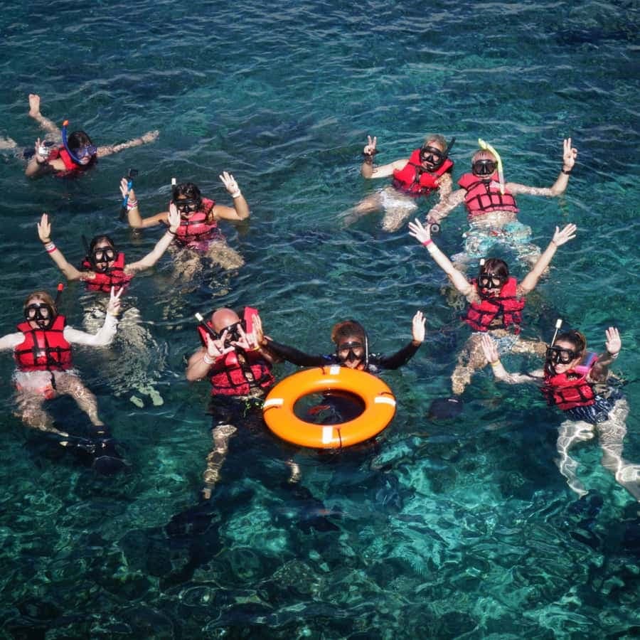 Full-Day Catalina Island With Scuba Diving - Dominican Republic