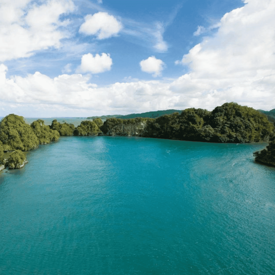 Punta Cana: Los Haitises National Park Full-Day Tour - Dominican Republic