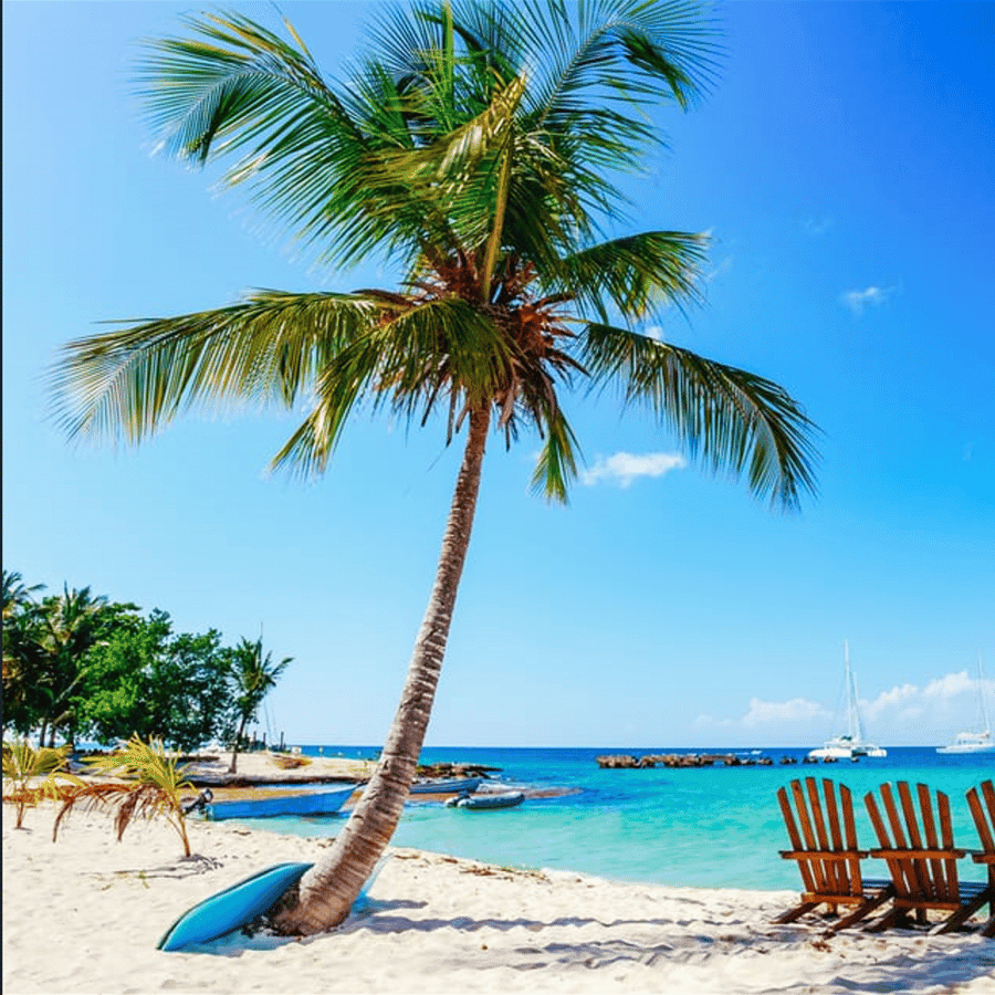 Saona Island Catamaran Cruise with Buffet