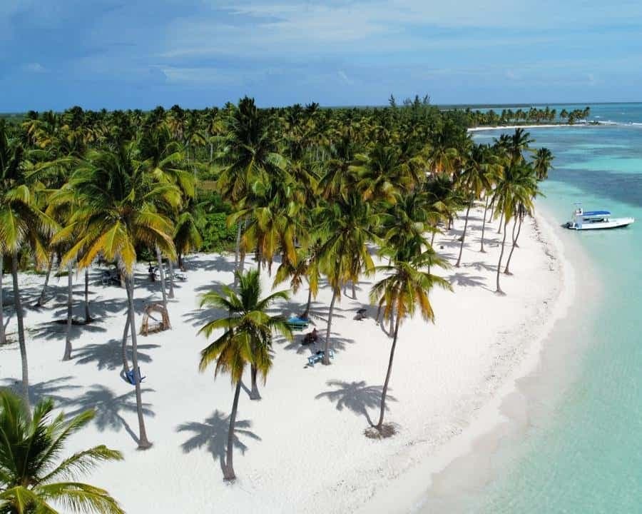 Saona Island: Small Group Virgin Beaches Cruise Day Trip