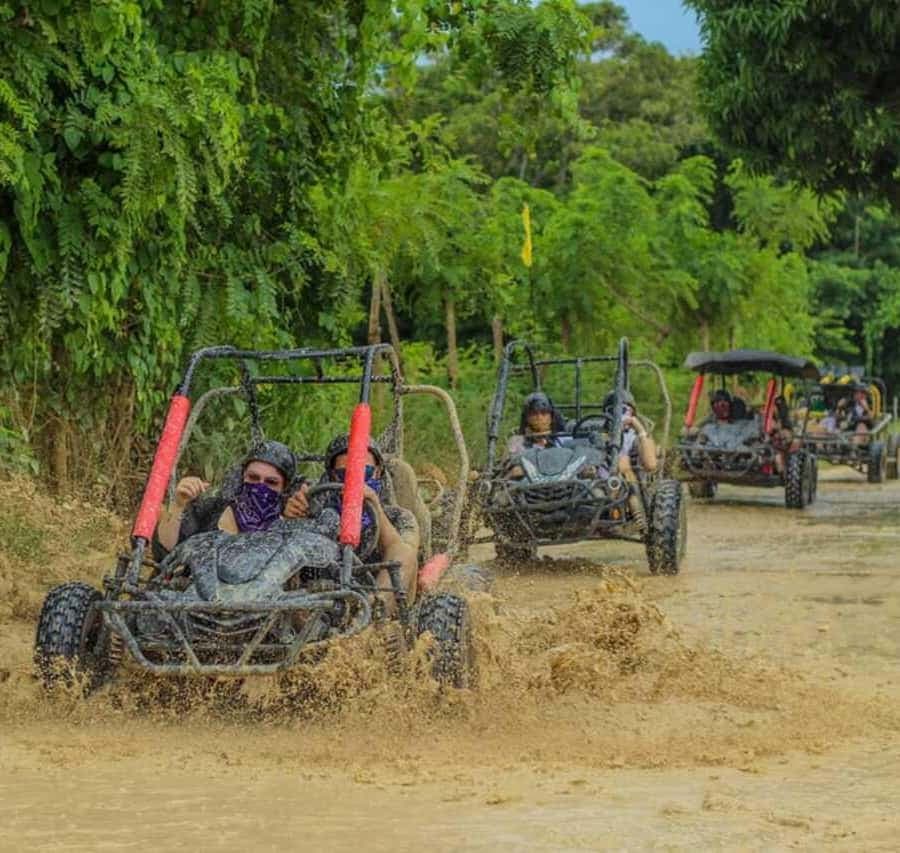 Extreme buggy route: from the jungle to the tropical coast