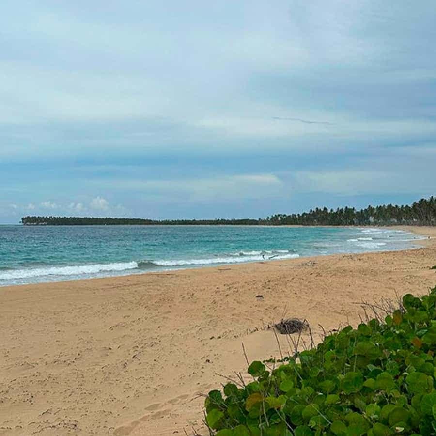 Punta Cana Montaña Redonda:Emerald Beach, Lunch, Small Group Private