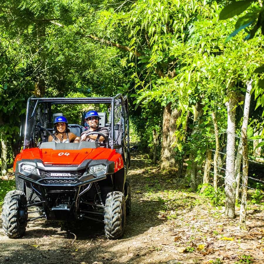 Bayahibe/La Romana: 4x4 Buggy and Monkeyland Tour