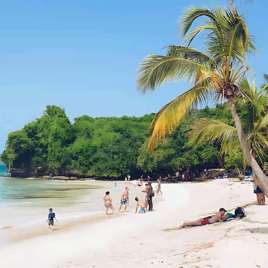 Punta Cana: Samaná Peninsula Whale Watching Day Trip