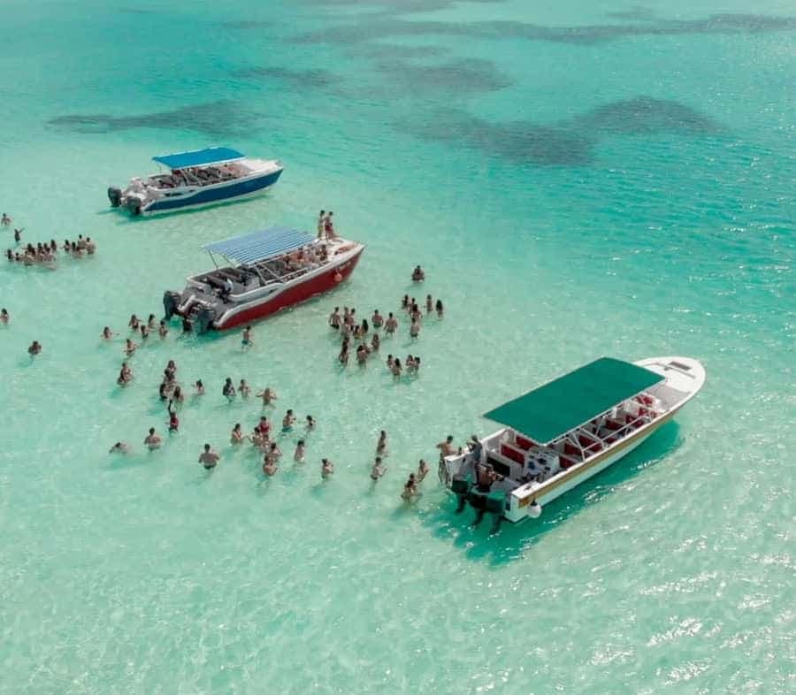 Saona Island Private: +10 People Catamarán