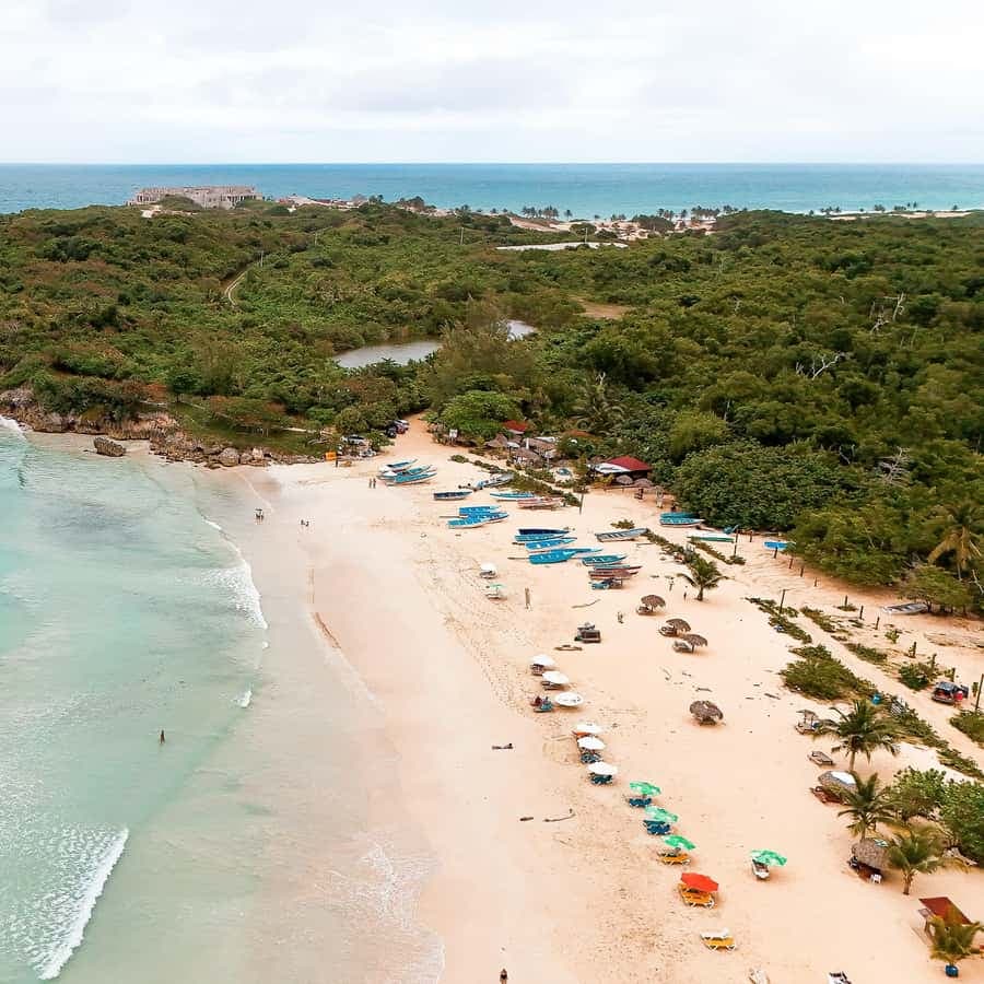 Punta Cana: Buggy El Patrón