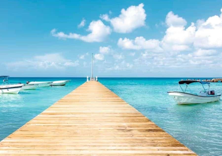 Bayahibe: Samaná and Miches Whale Watching Day Trip