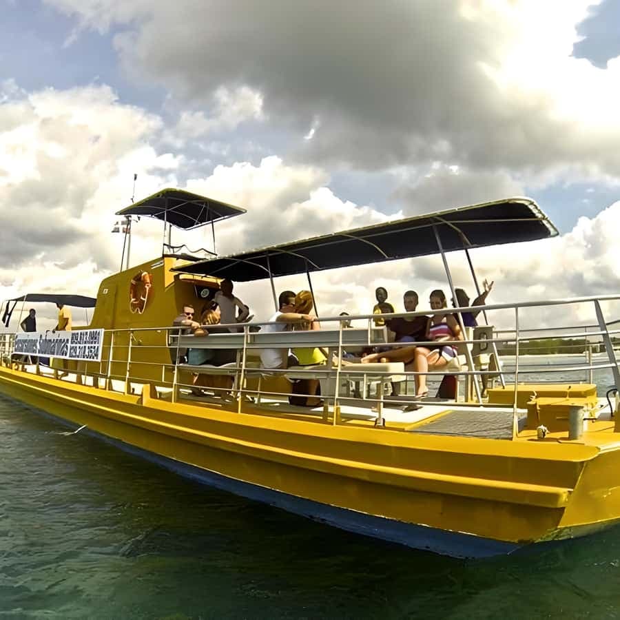 Saona Island in a semi-submarine and snorkeling.
