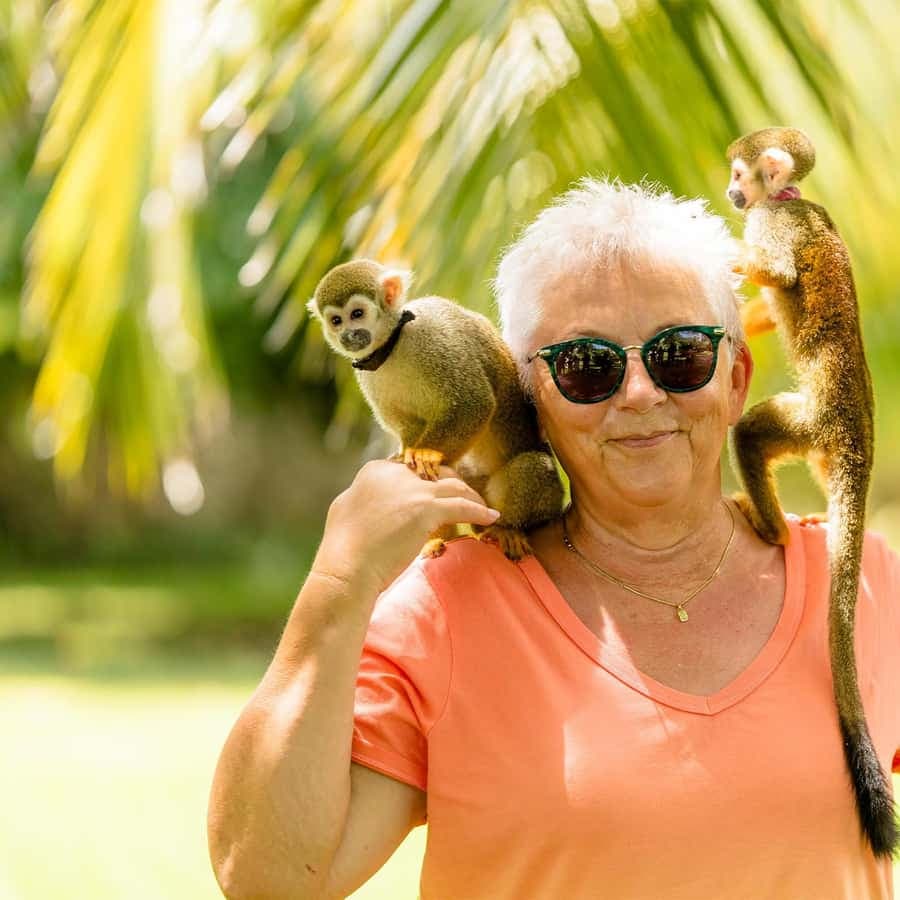 Punta Cana: Tour Monkey Adventure With Hotel Pick Up