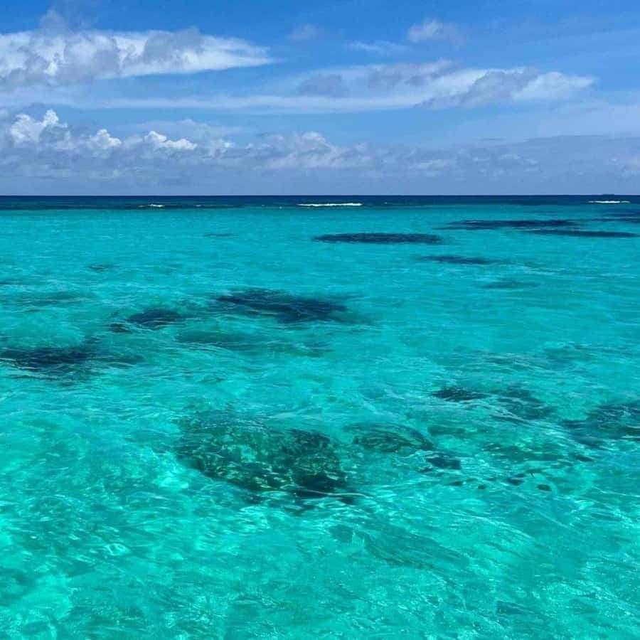 Saona Island and Canto de la Playa Boat Trip Adventure
