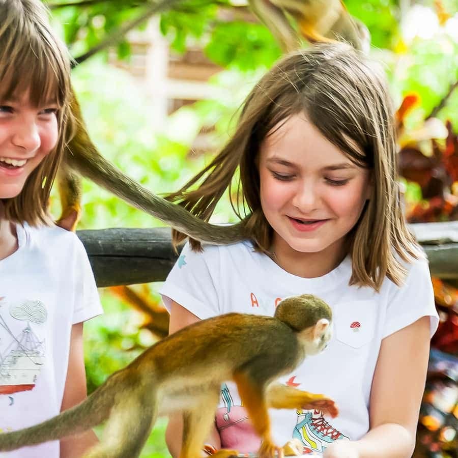 Punta Cana: Monkey Land Half-Day Safari and Plantation