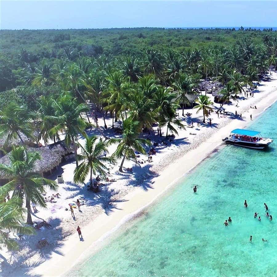 Saona Island Day Trip From Punta Cana with Lunch w/ Open Bar