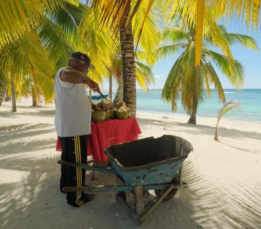 Punta Cana: Saona Island Excursion