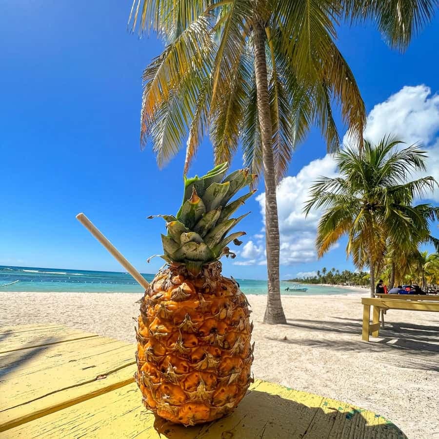 La Romana: Saona Island Boat Tour with Lunch