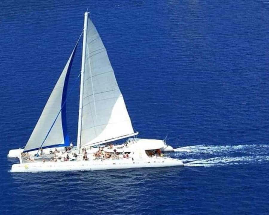 Catamaran Cruise on Saona Island with Lunch and Drinks