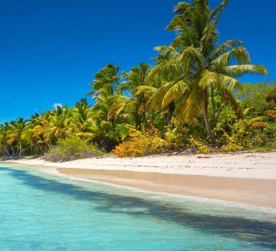 Saona Island: Full-Day Tour with Speedboat and Catamaran
