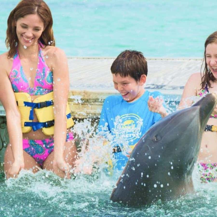 Punta Cana: Dolphin Royal Swim