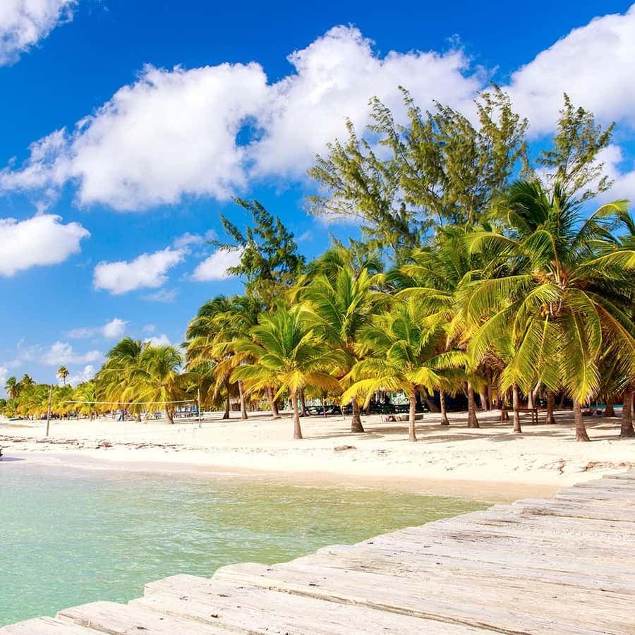 From Punta Cana: Catalina Island Snorkeling Tour